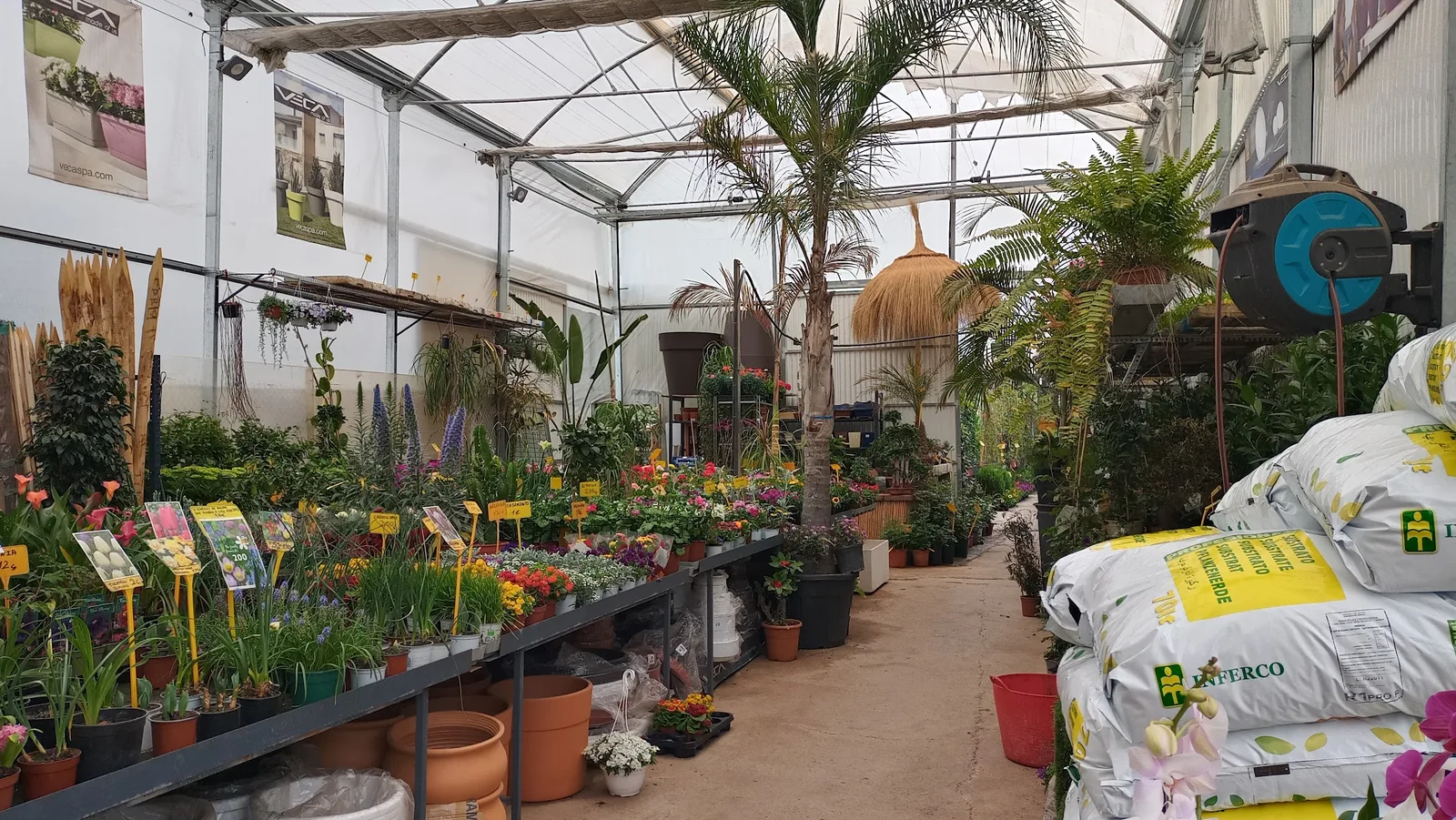 Interior del invernadero de la Boutique del Cactus con plantas y flores